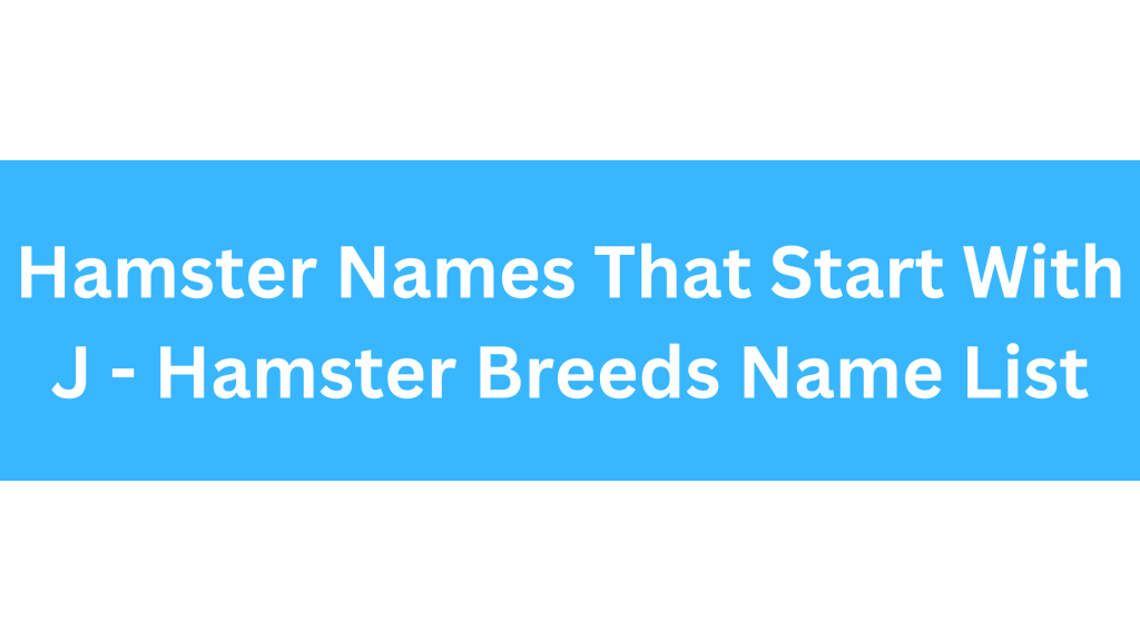 Hamster Names Starting With J Hamster Breeds Name List