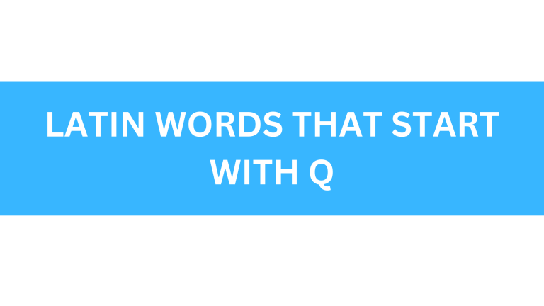 latin words that start with q