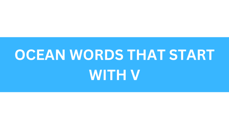 ocean words that start with v