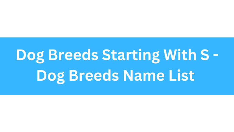 Dog Breeds Starting With S