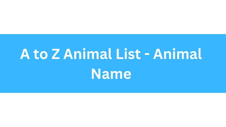 A to Z Animal List