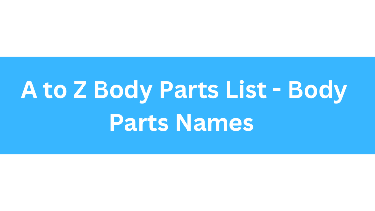A to Z Body Parts List