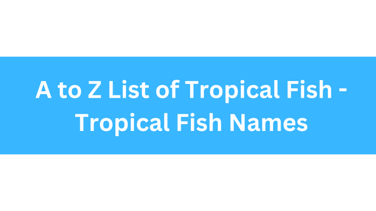 A to Z List of Tropical Fish - Tropical Fish Names