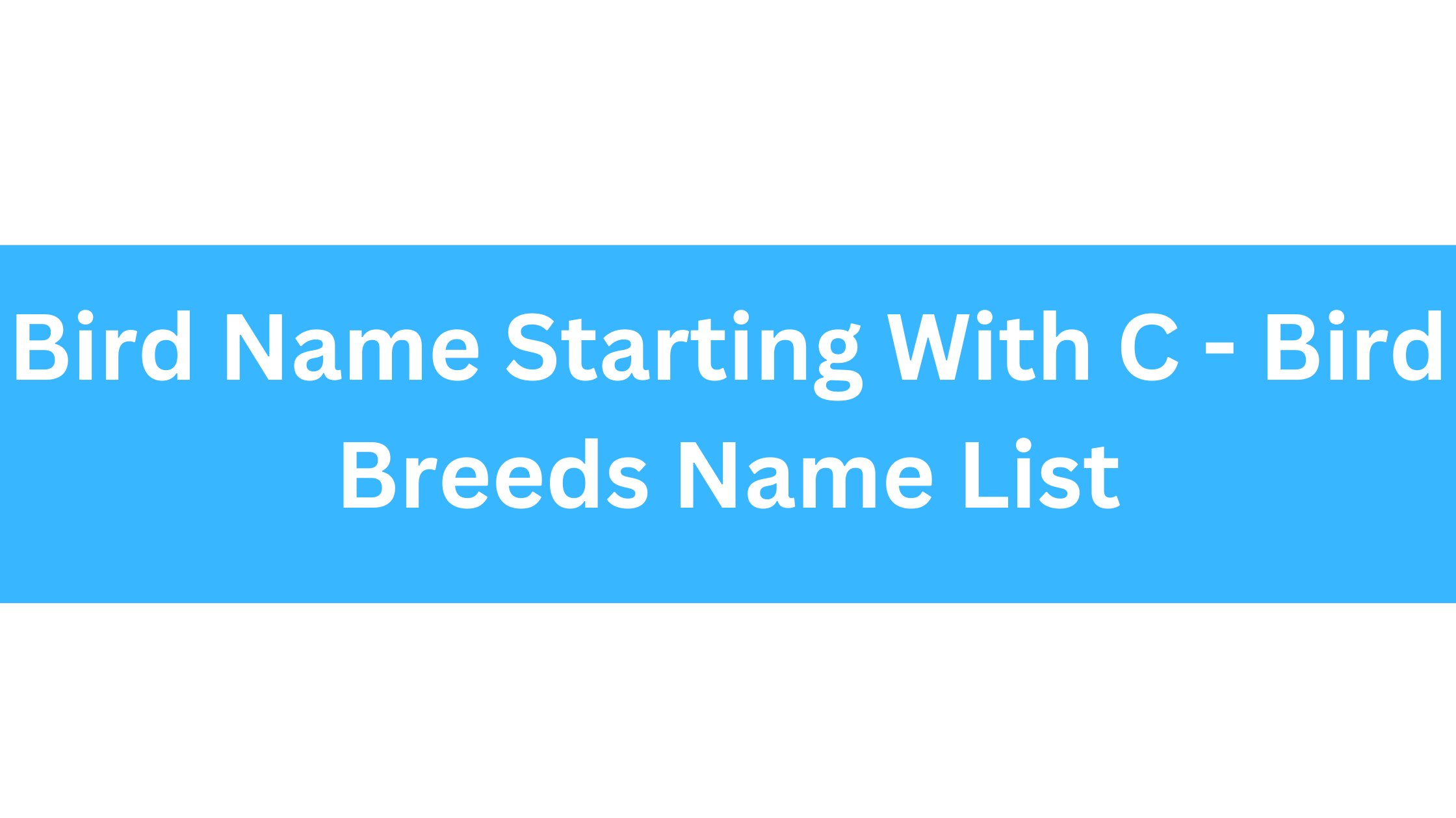 Bird Name Starting With C