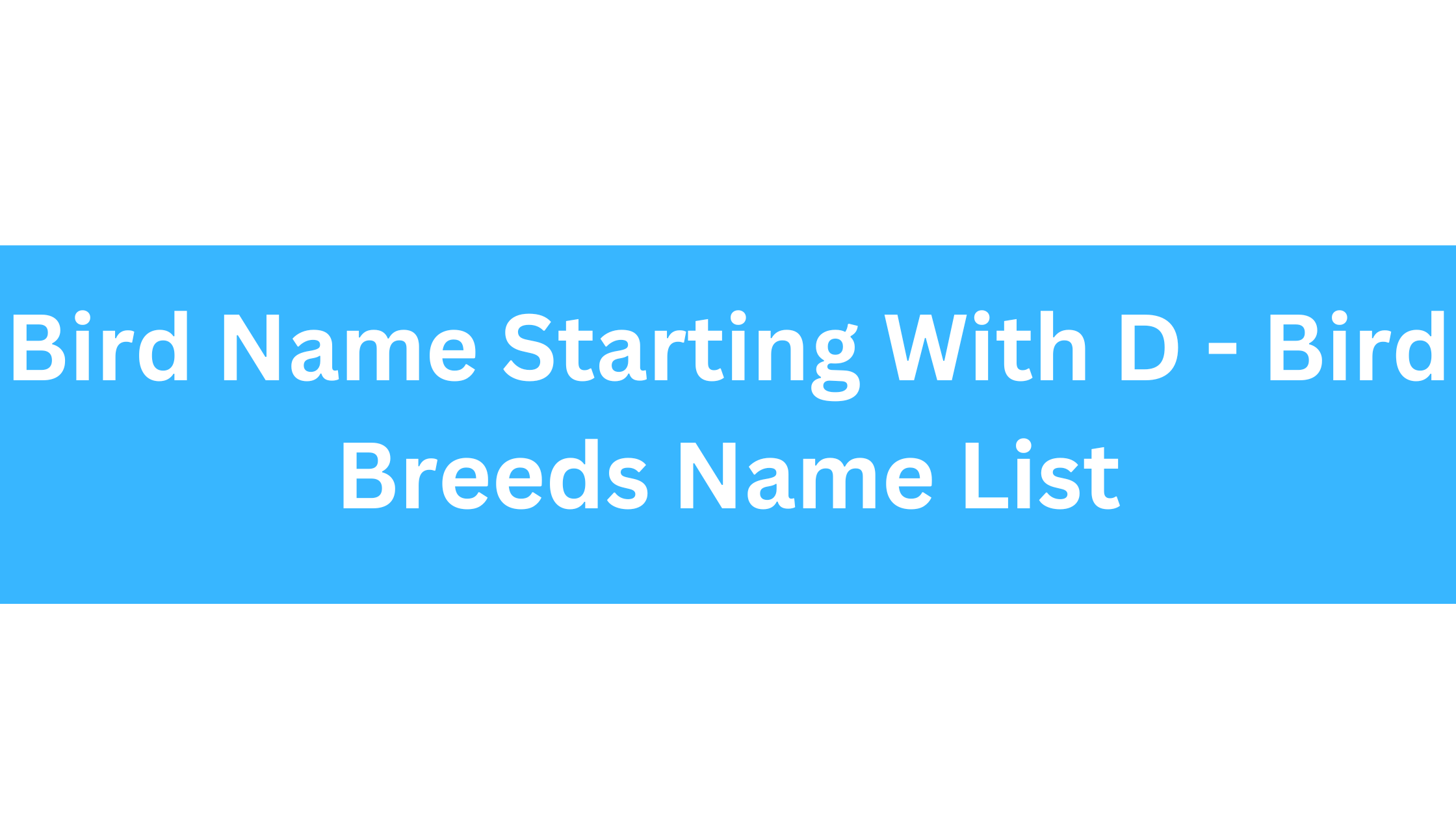 Bird Name Starting With D