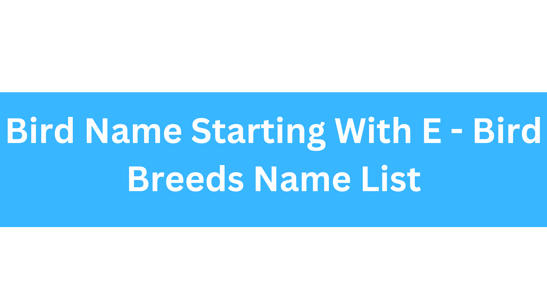 Bird Name Starting With E