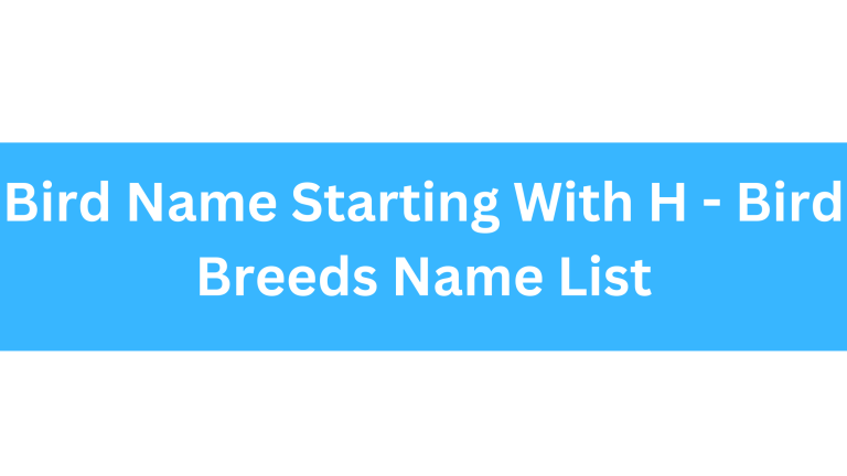 Bird Name Starting With H