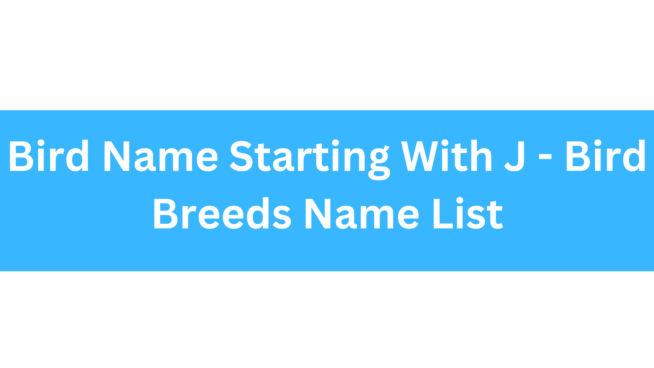 Bird Name Starting With J