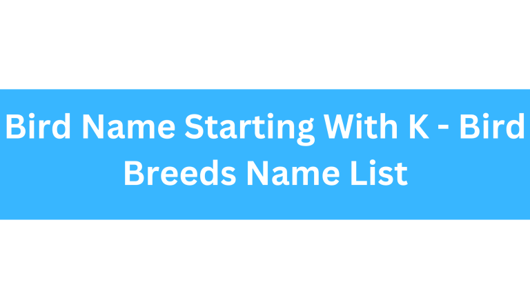 Bird Name Starting With K