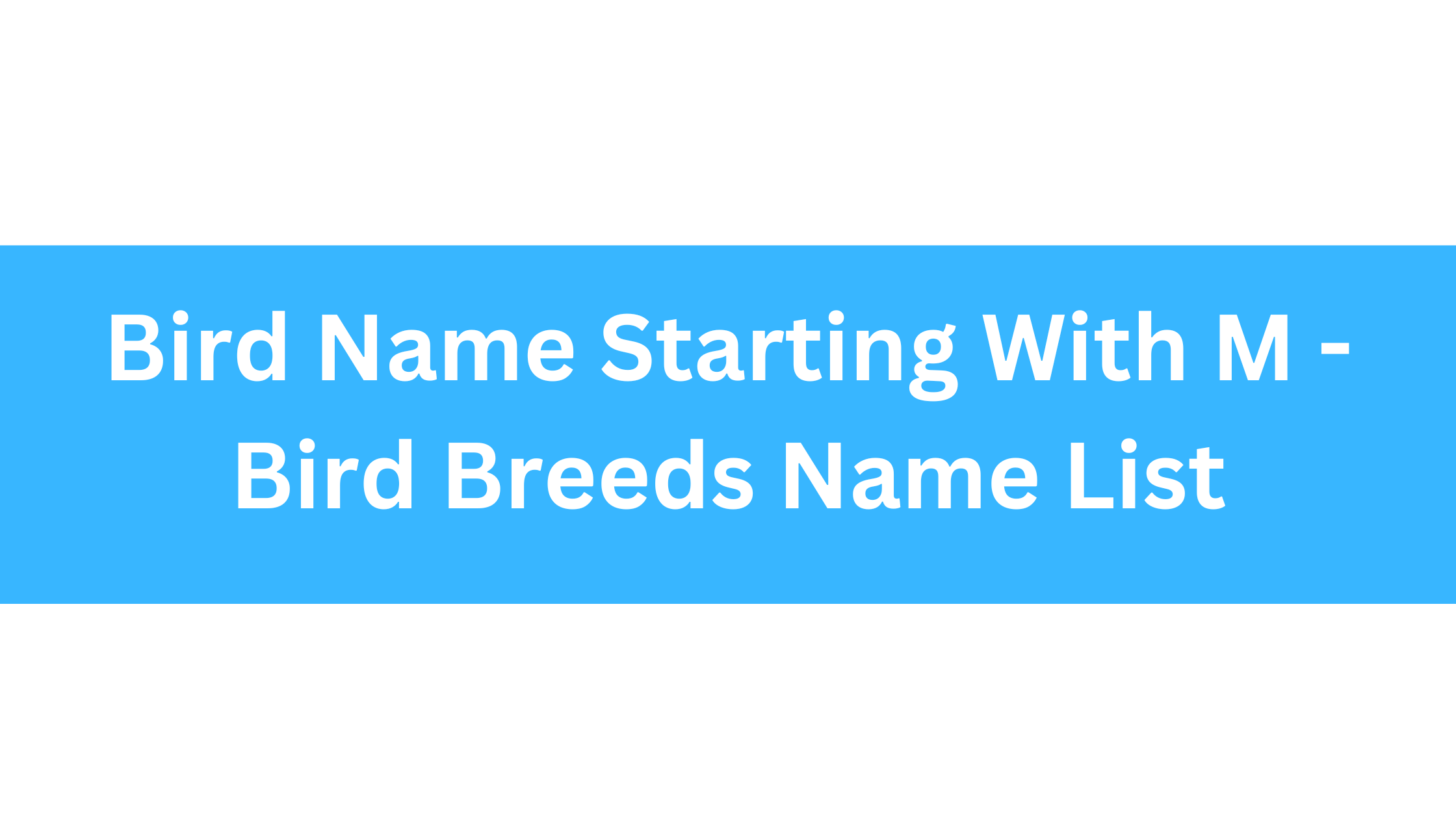 Bird Name Starting With M