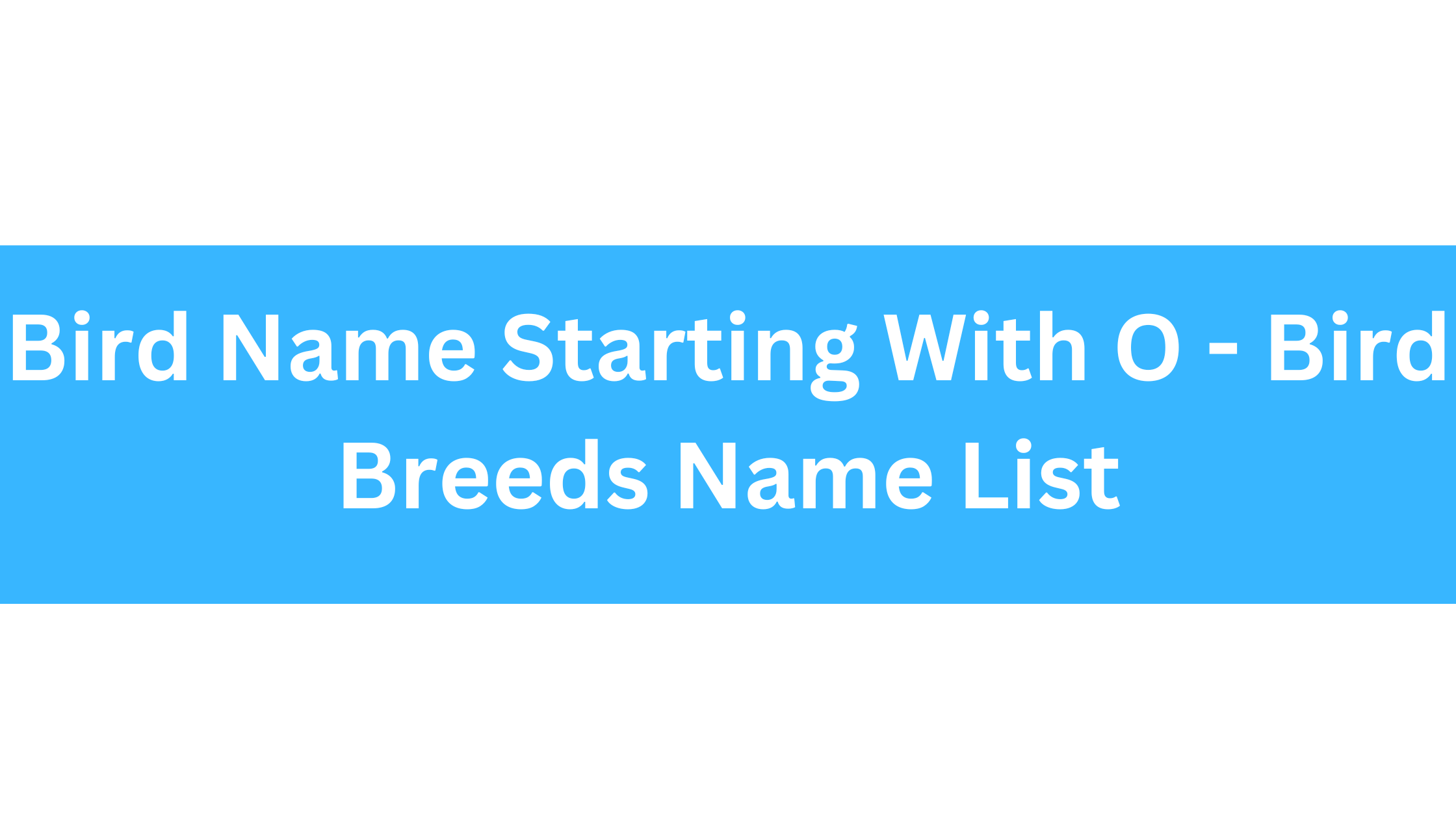Bird Name Starting With O