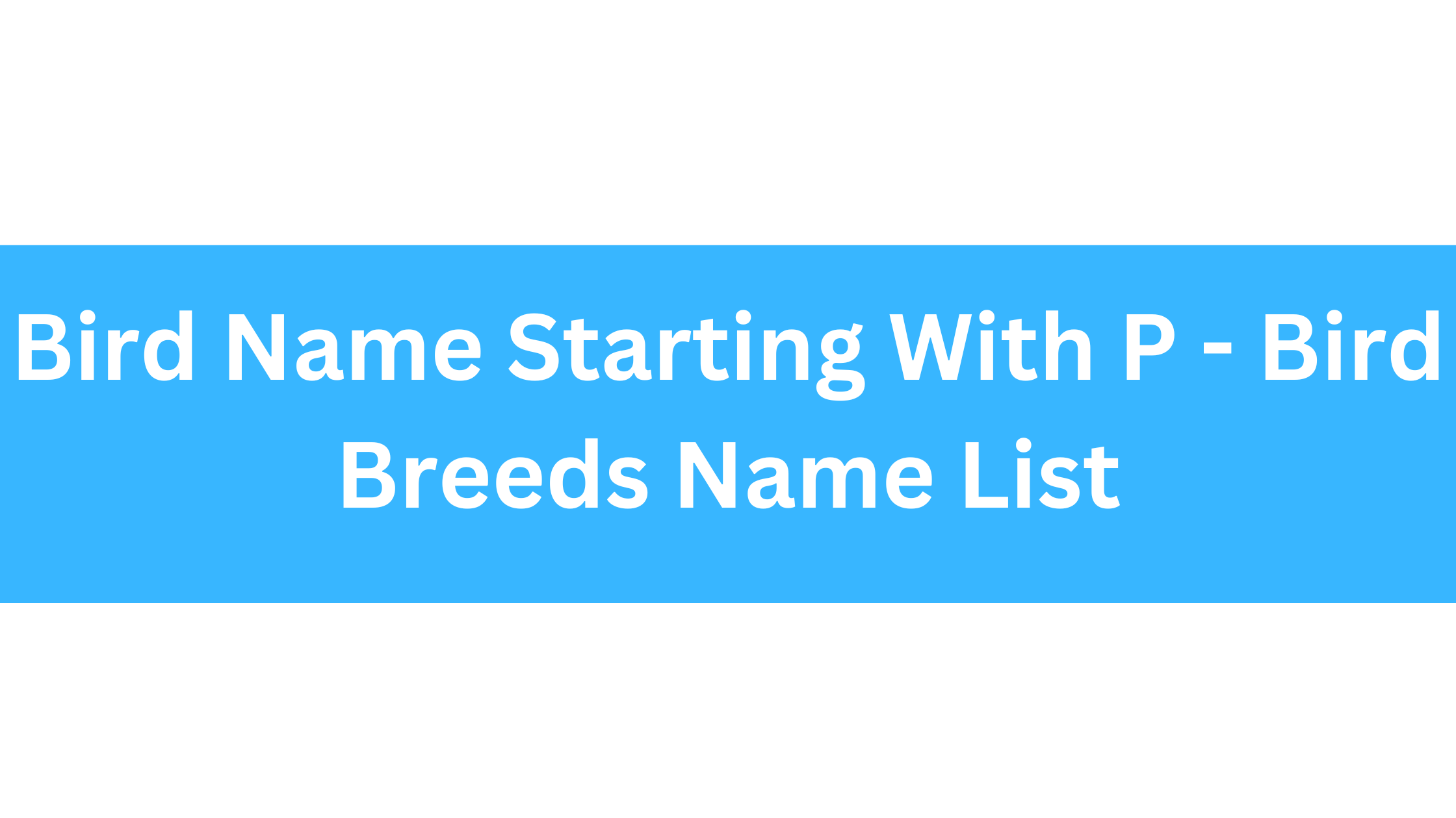 Bird Name Starting With P