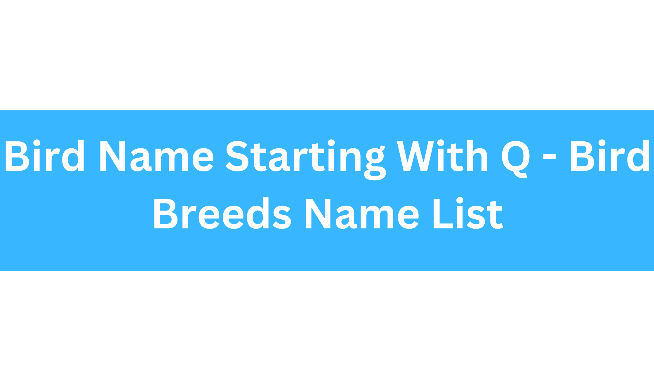Bird Name Starting With Q