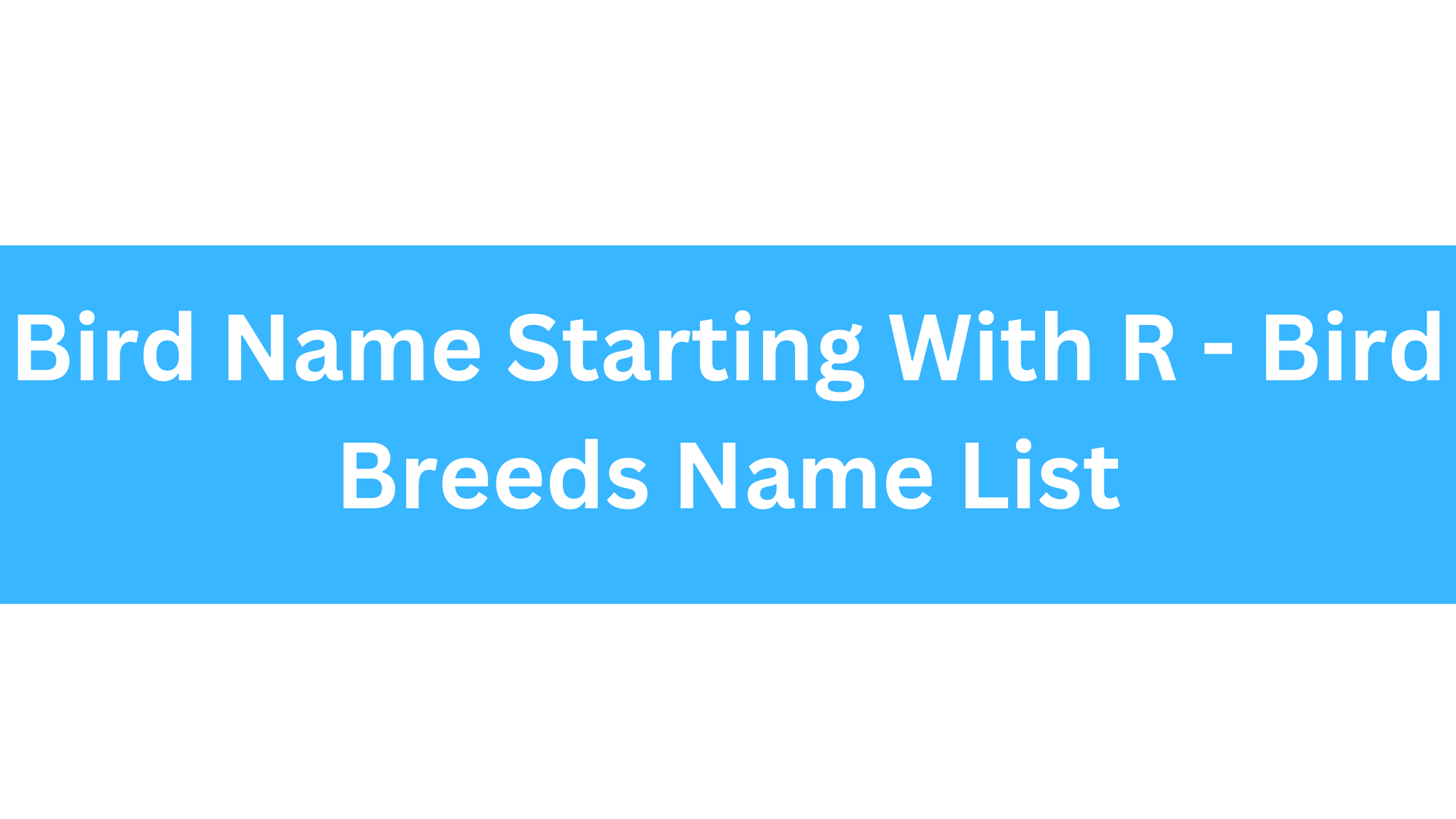 Bird Name Starting With R