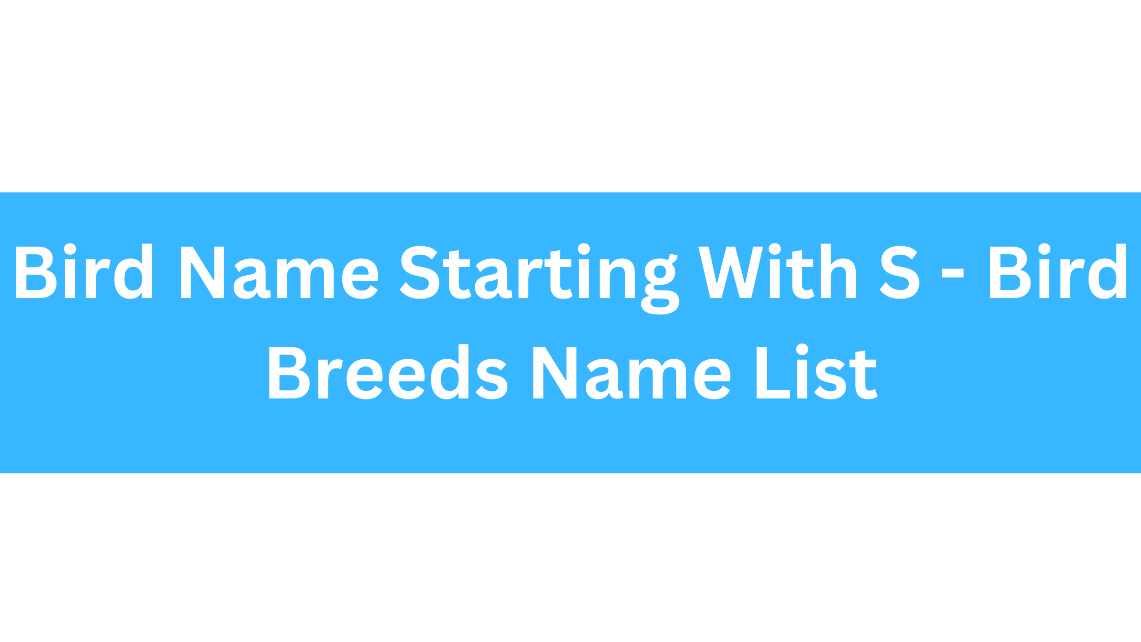 Bird Name Starting With S