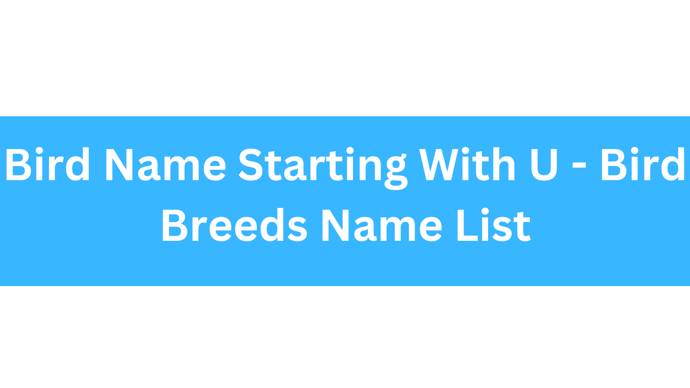 Bird Name Starting With U