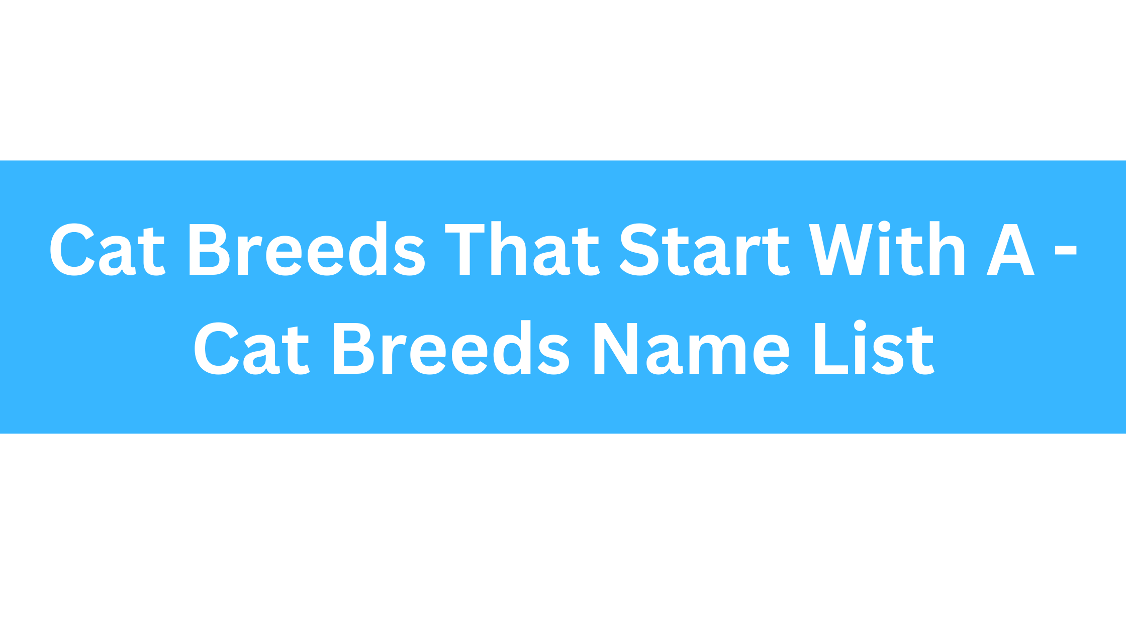 Cat Breeds That Start With A