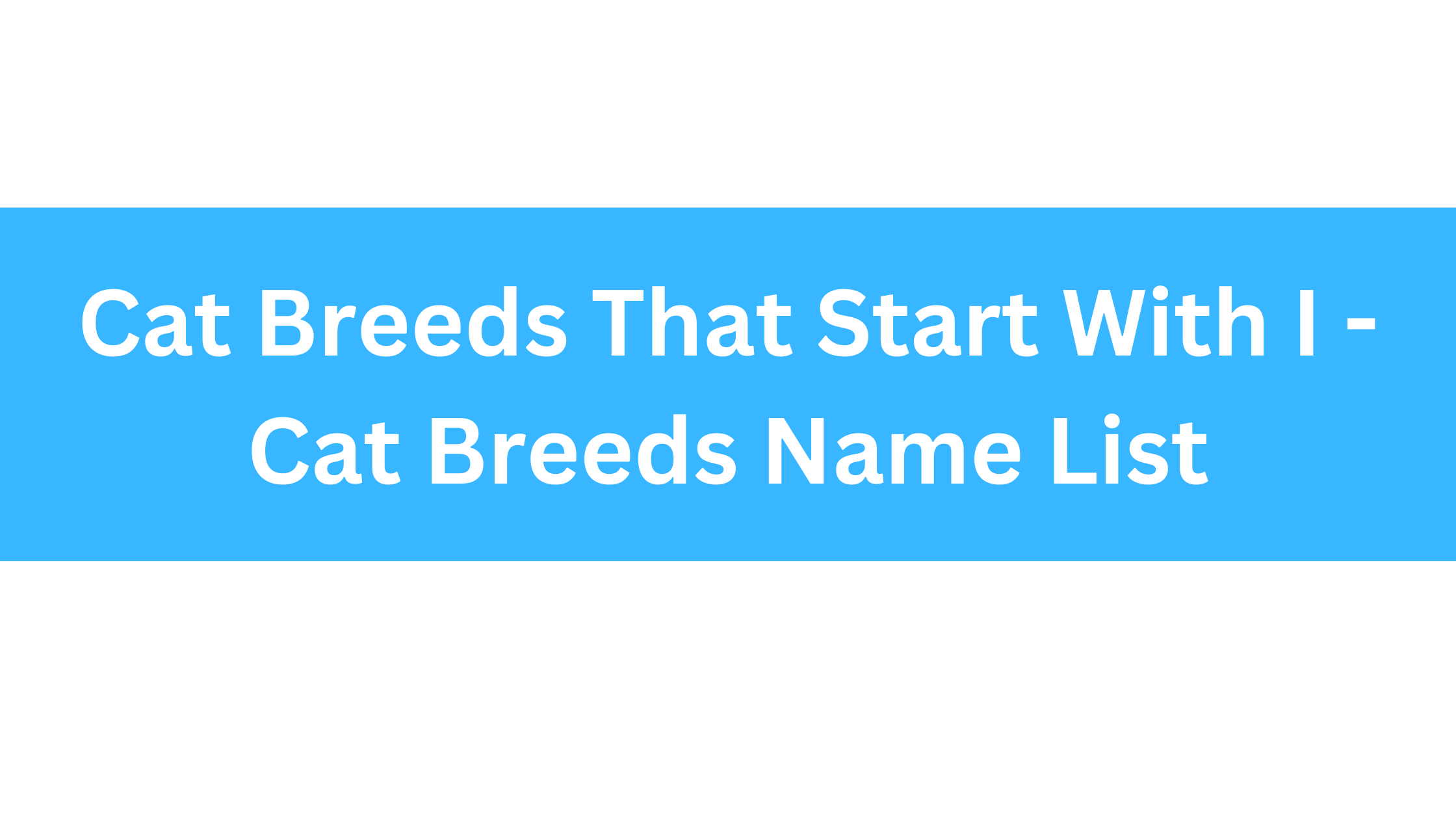 Cat Breeds That Start With I