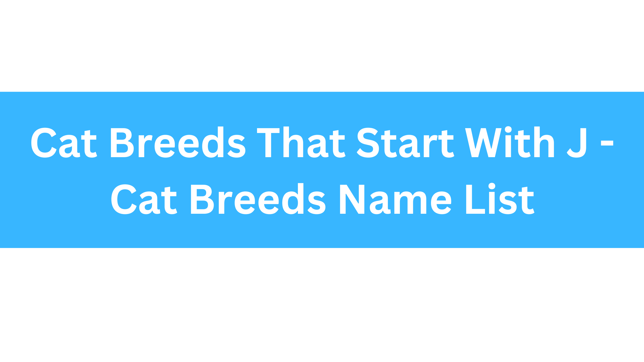 Cat Breeds That Start With J