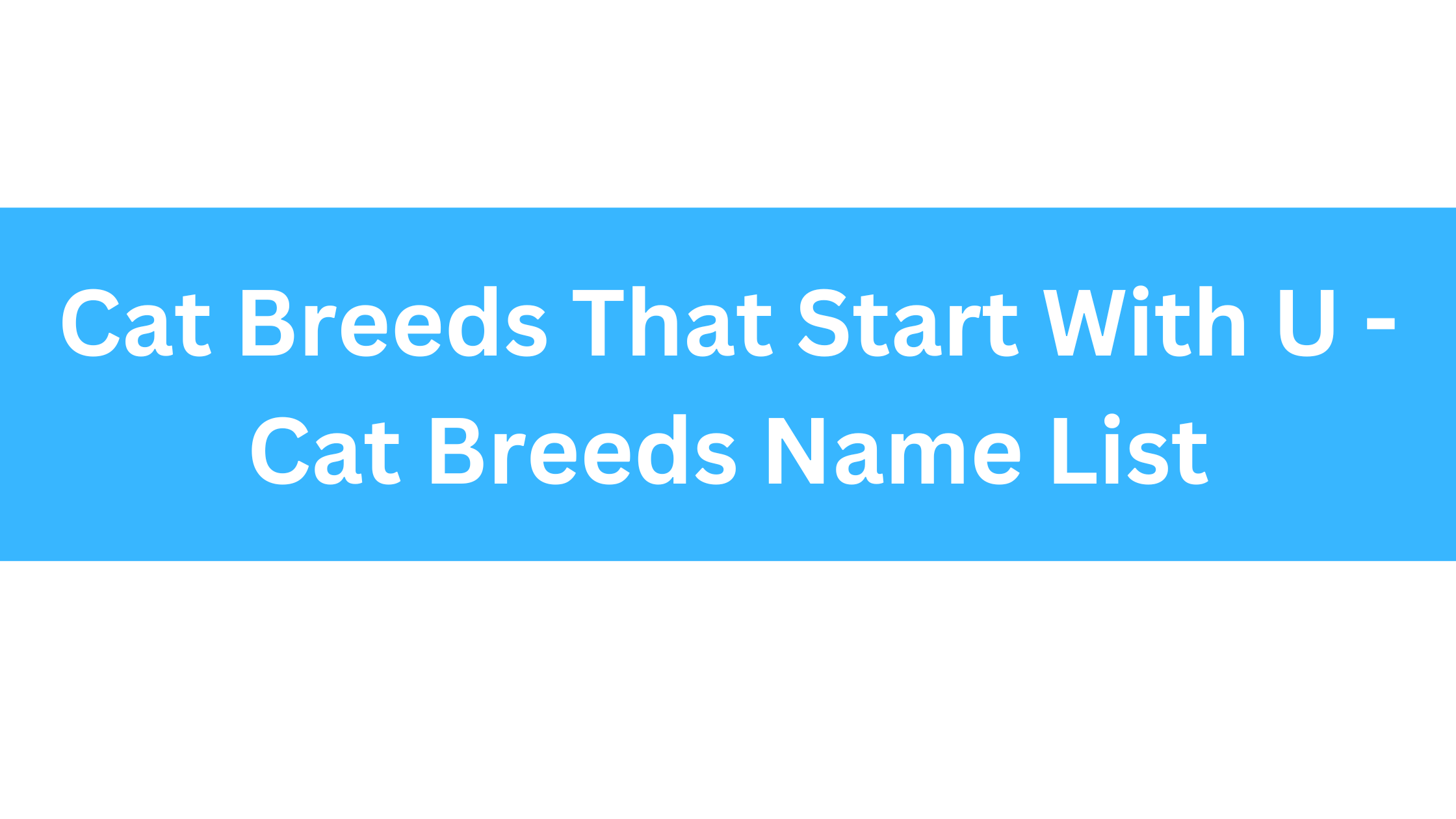 Cat Breeds That Start With U