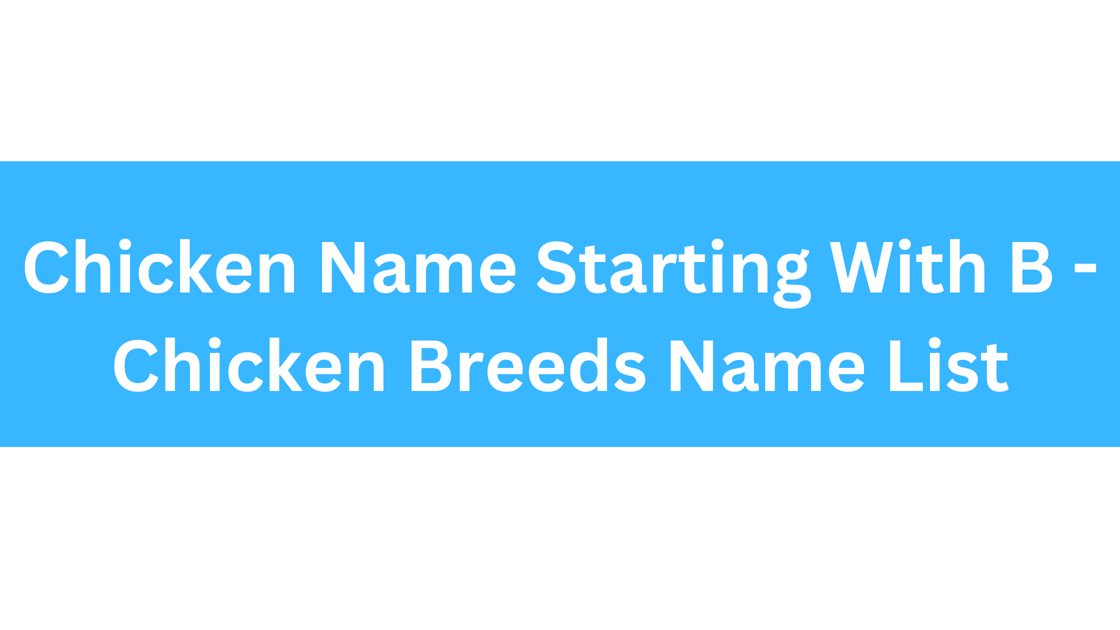 Chicken Breeds That Start With B