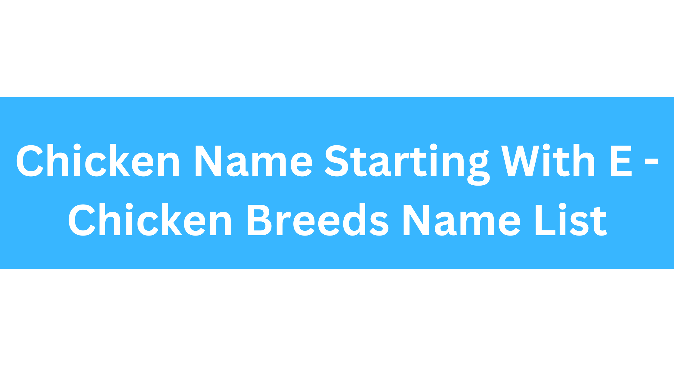 Chicken Breeds That Start With E
