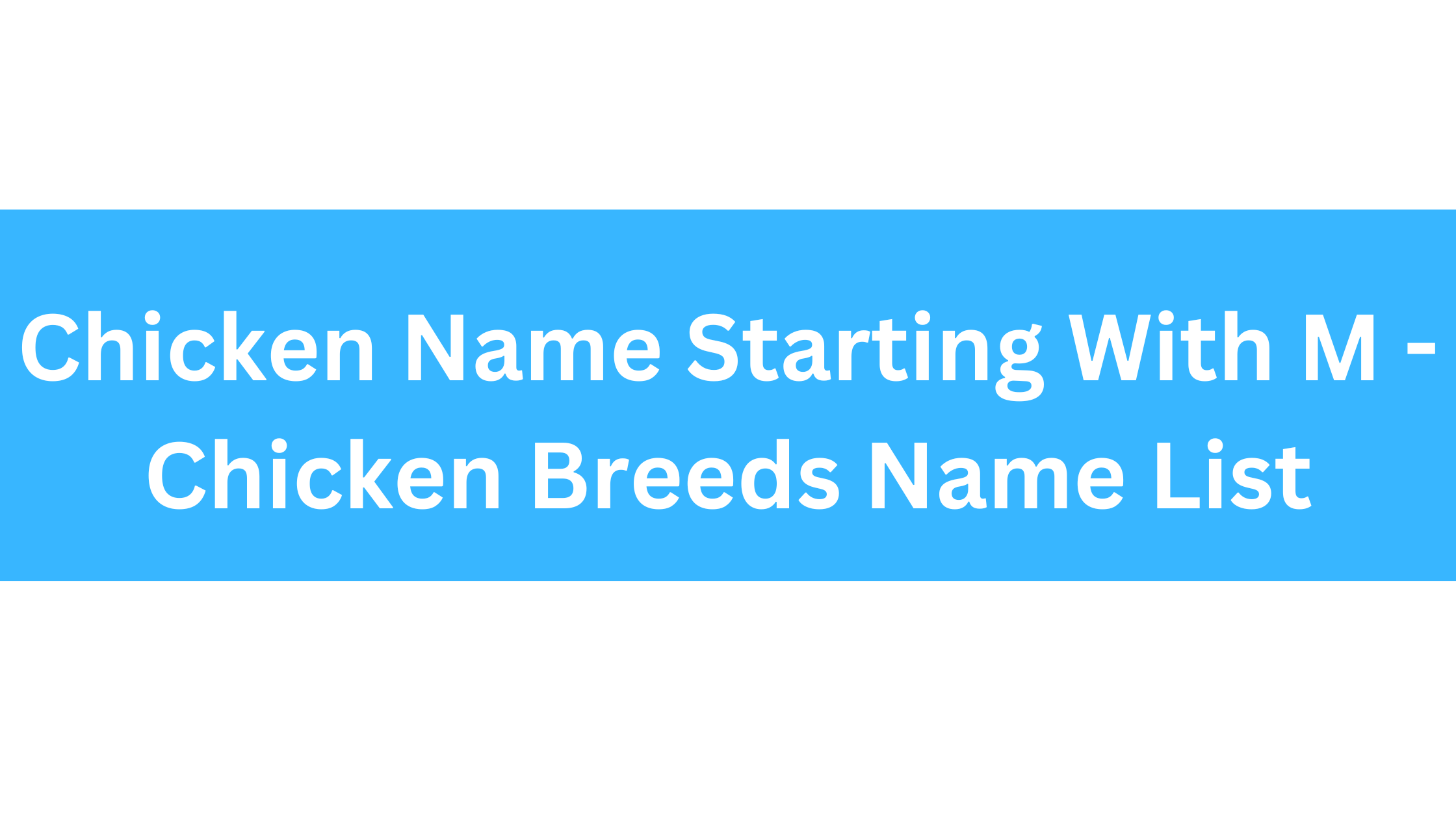 Chicken Breeds That Start With M