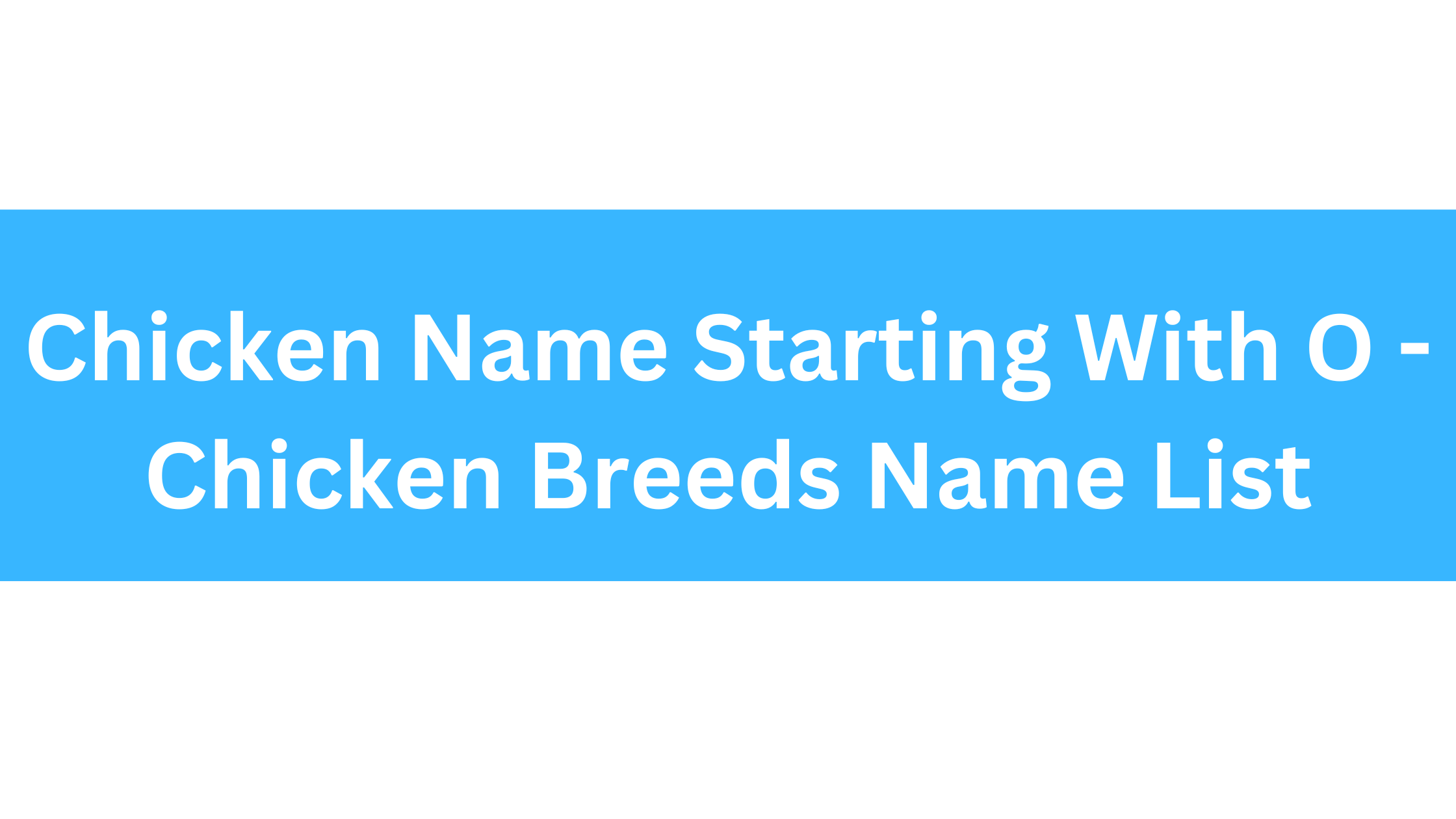 Chicken Breeds That Start With O