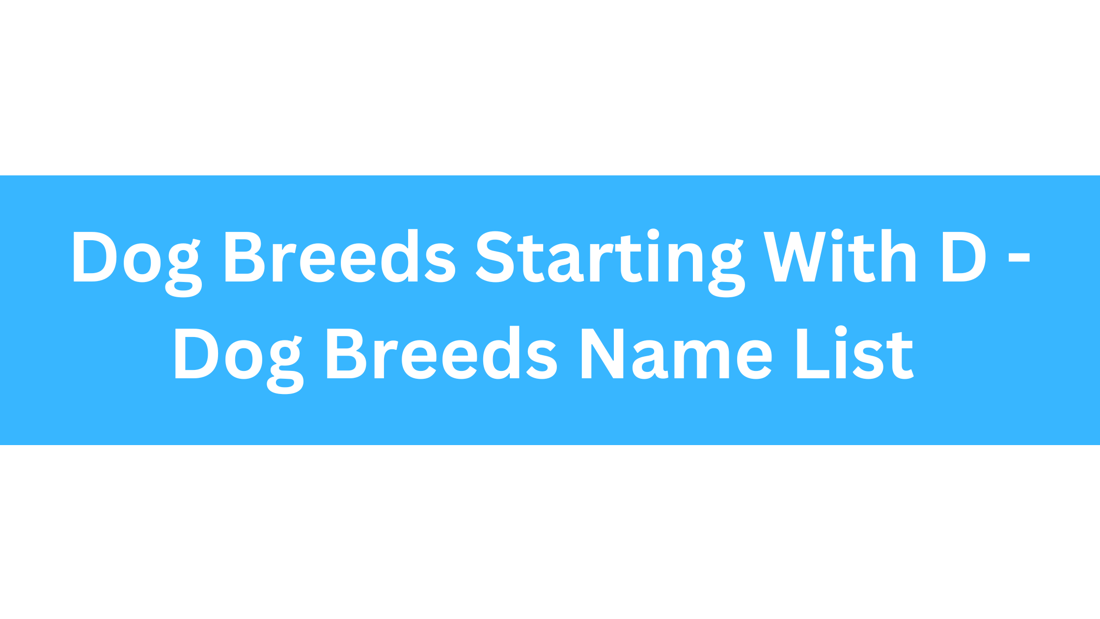 Dog Breeds Starting With D