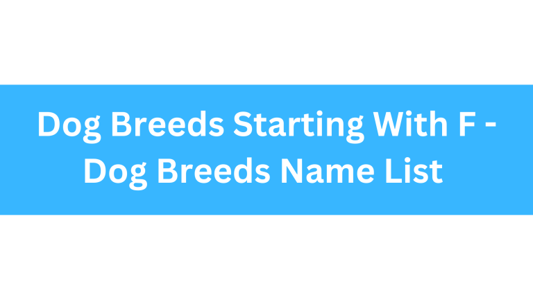 Dog Breeds Starting With F
