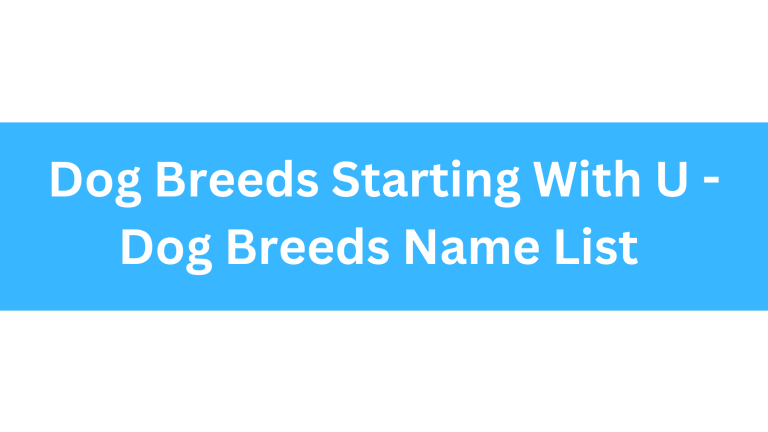 Dog Breeds Starting With U