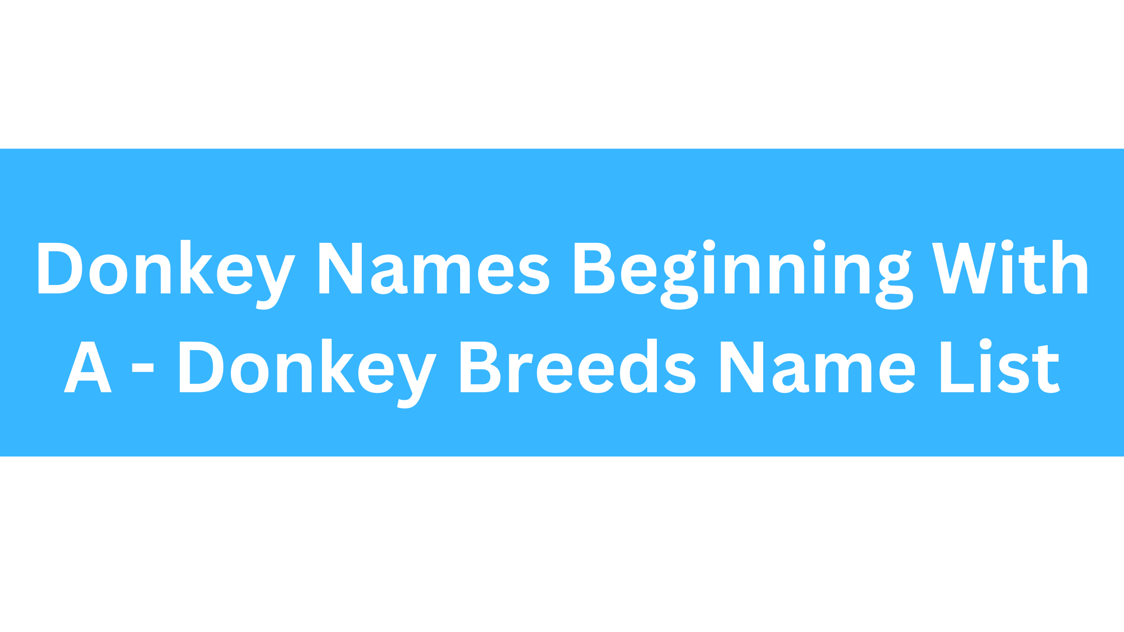 Donkey Names Beginning With A