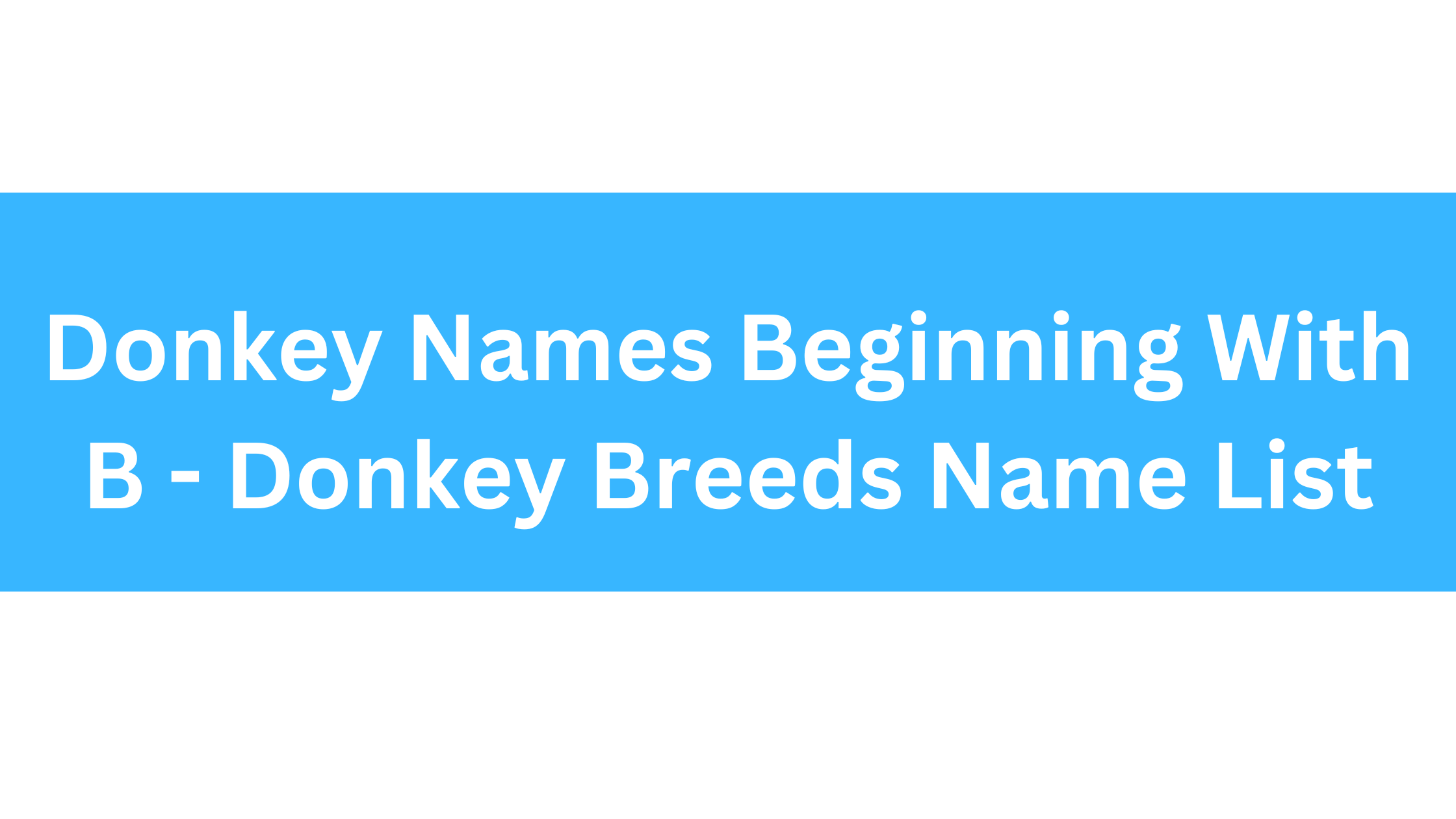 Donkey Names Beginning With B