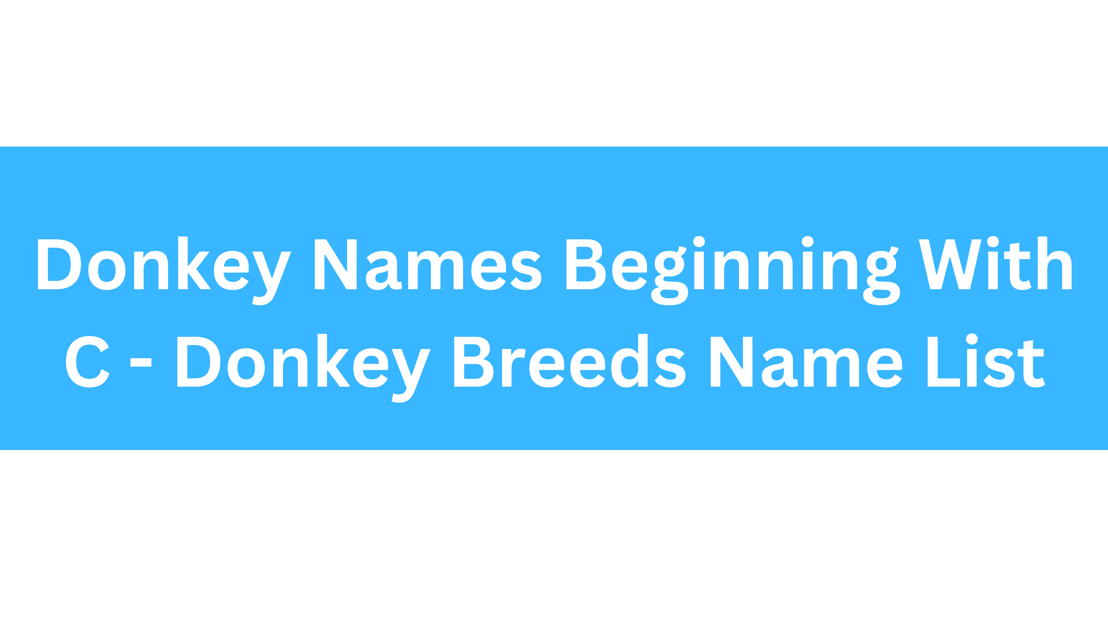 Donkey Names Beginning With C