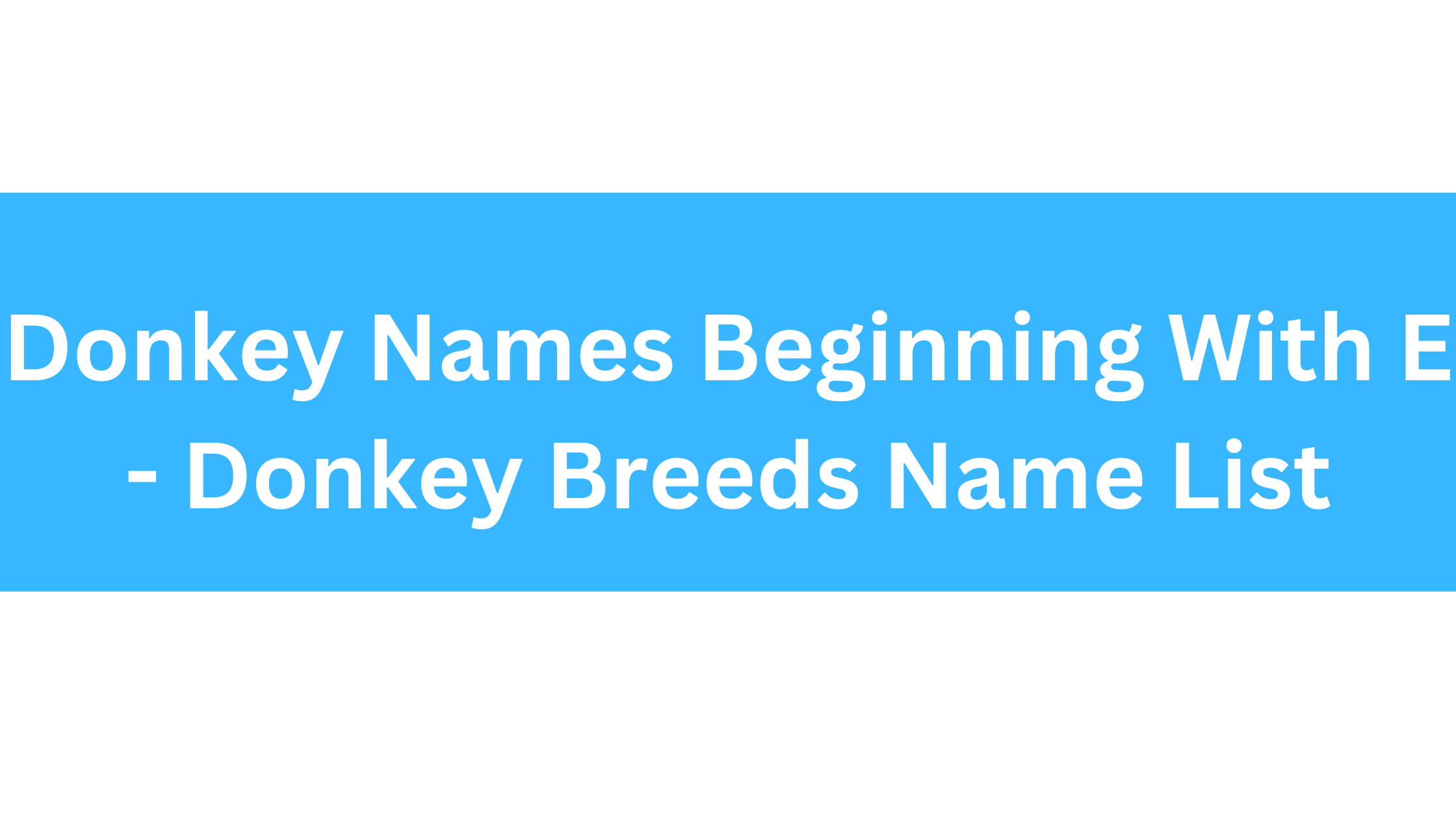 Donkey Names Beginning With E