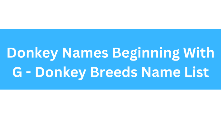Donkey Names Beginning With G