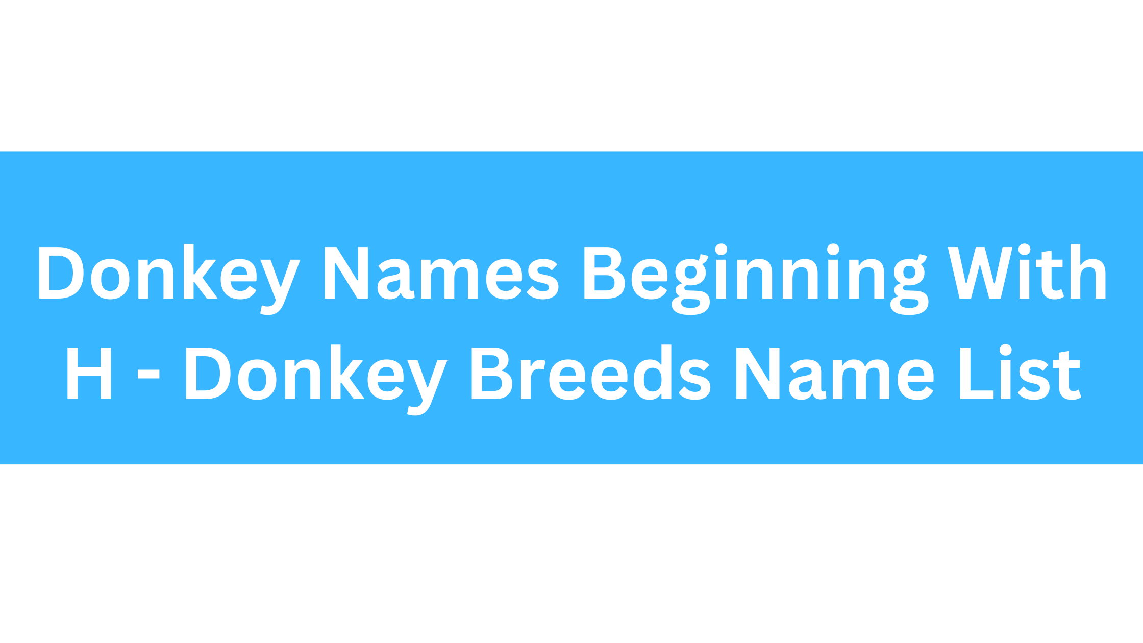 Donkey Names Beginning With H