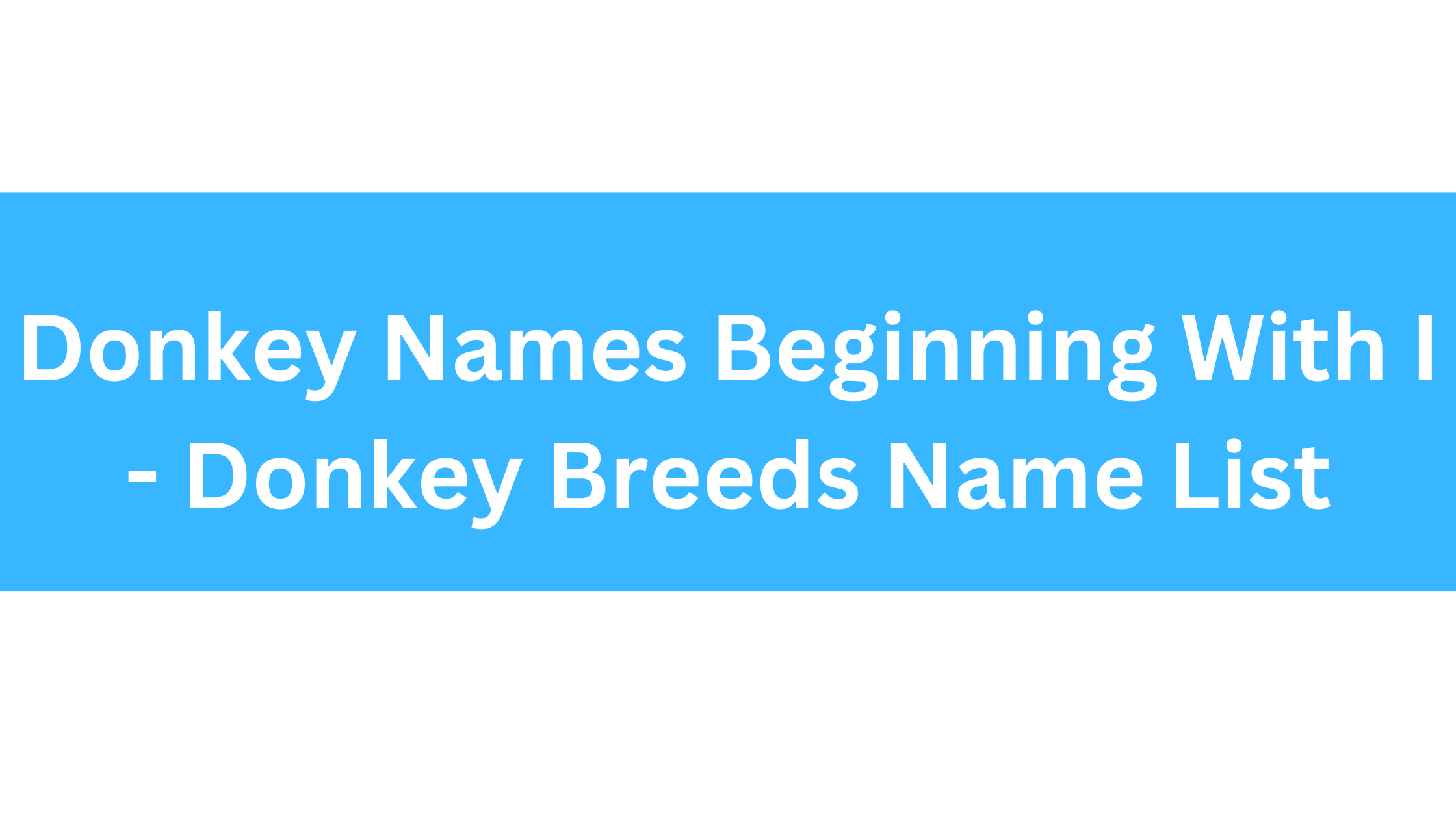 Donkey Names Beginning With I