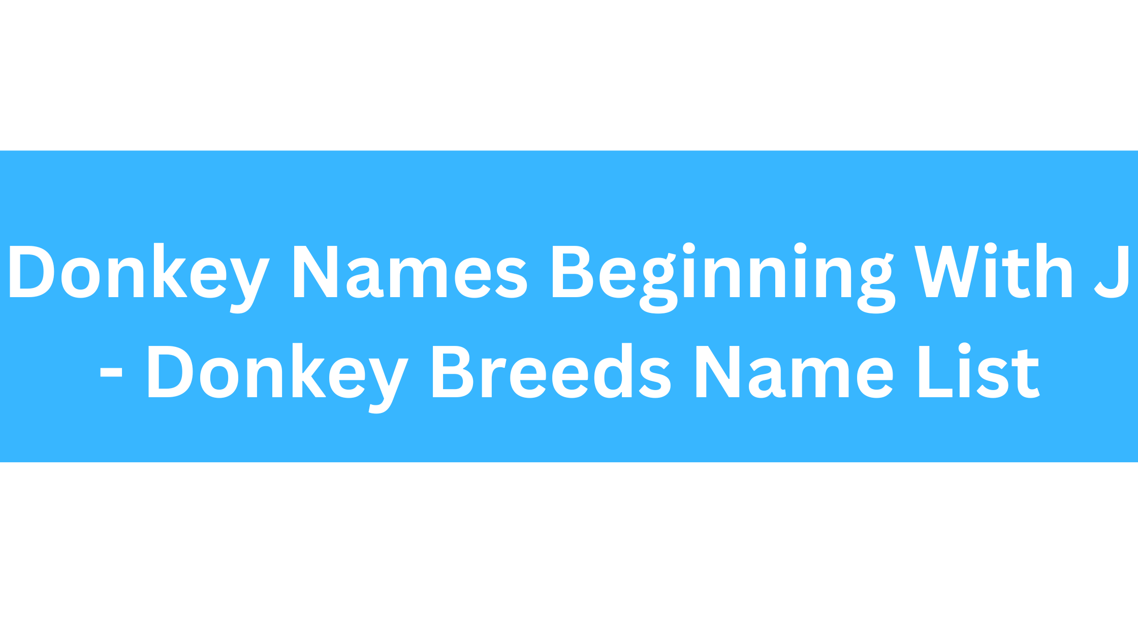Donkey Names Beginning With J