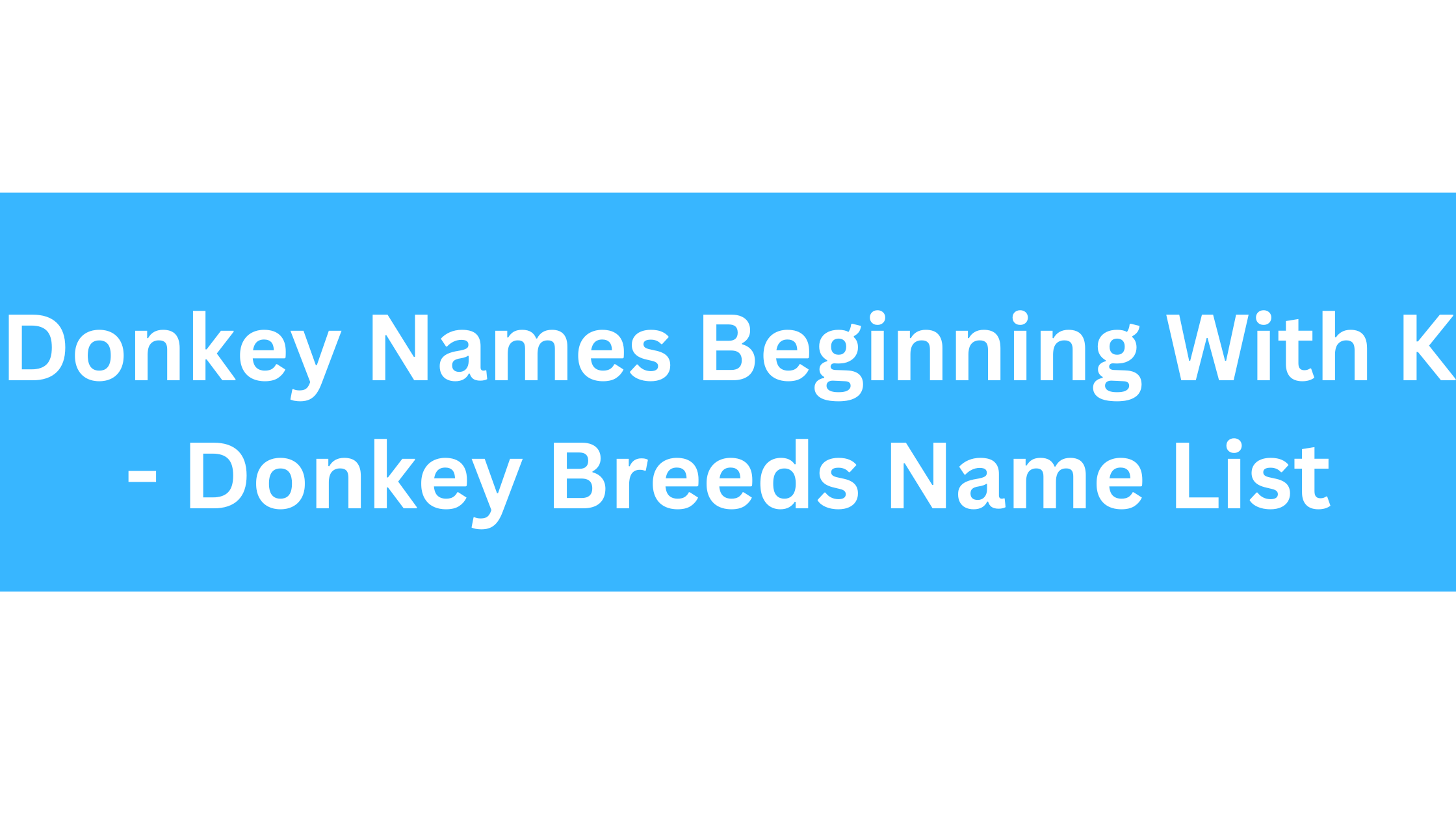 Donkey Names Beginning With K
