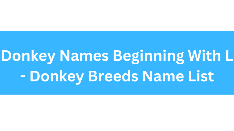 Donkey Names Beginning With L