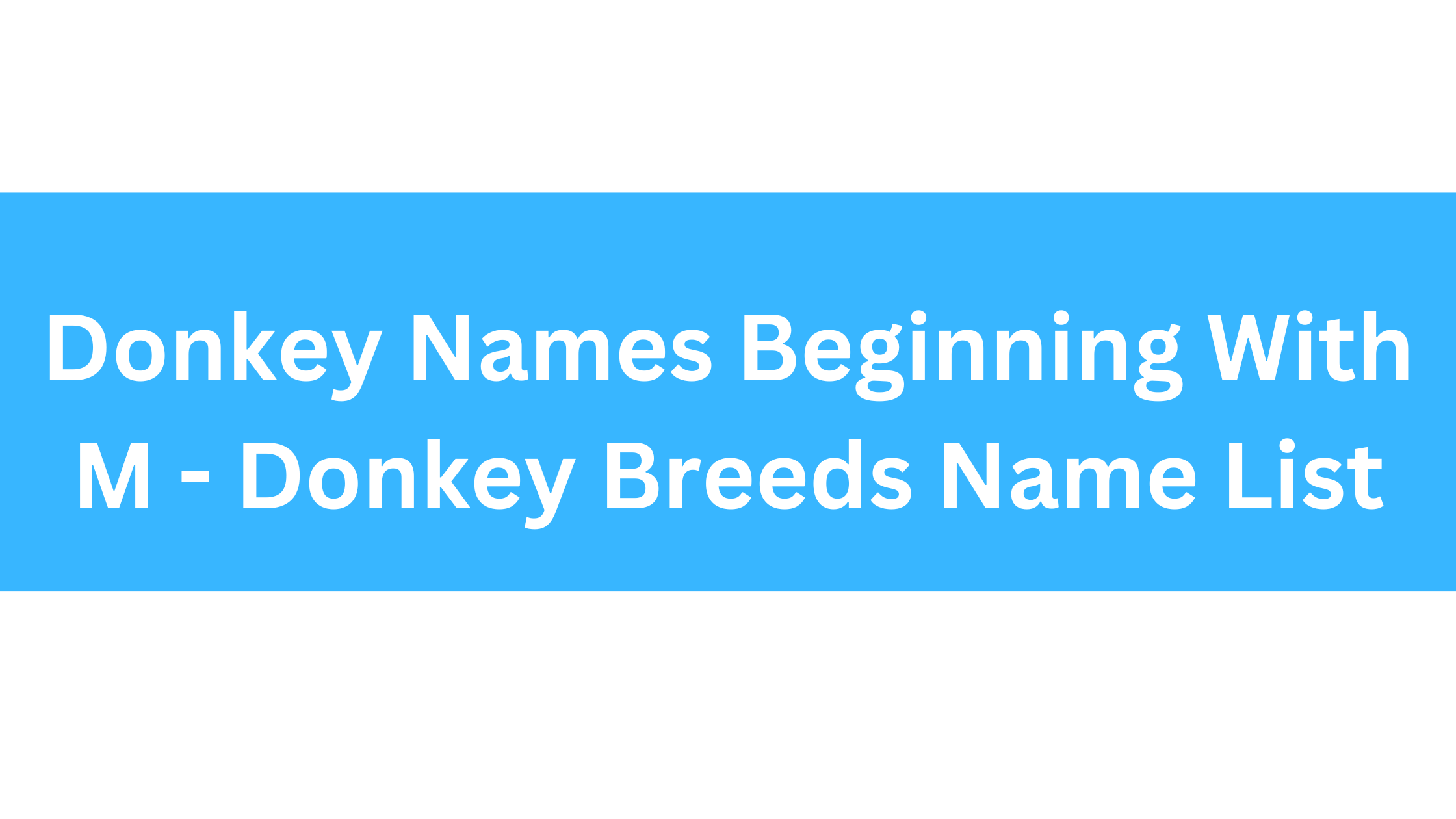 Donkey Names Beginning With M
