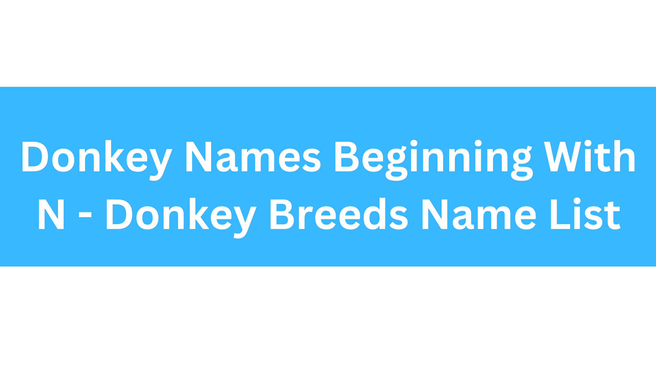 Donkey Names Beginning With N