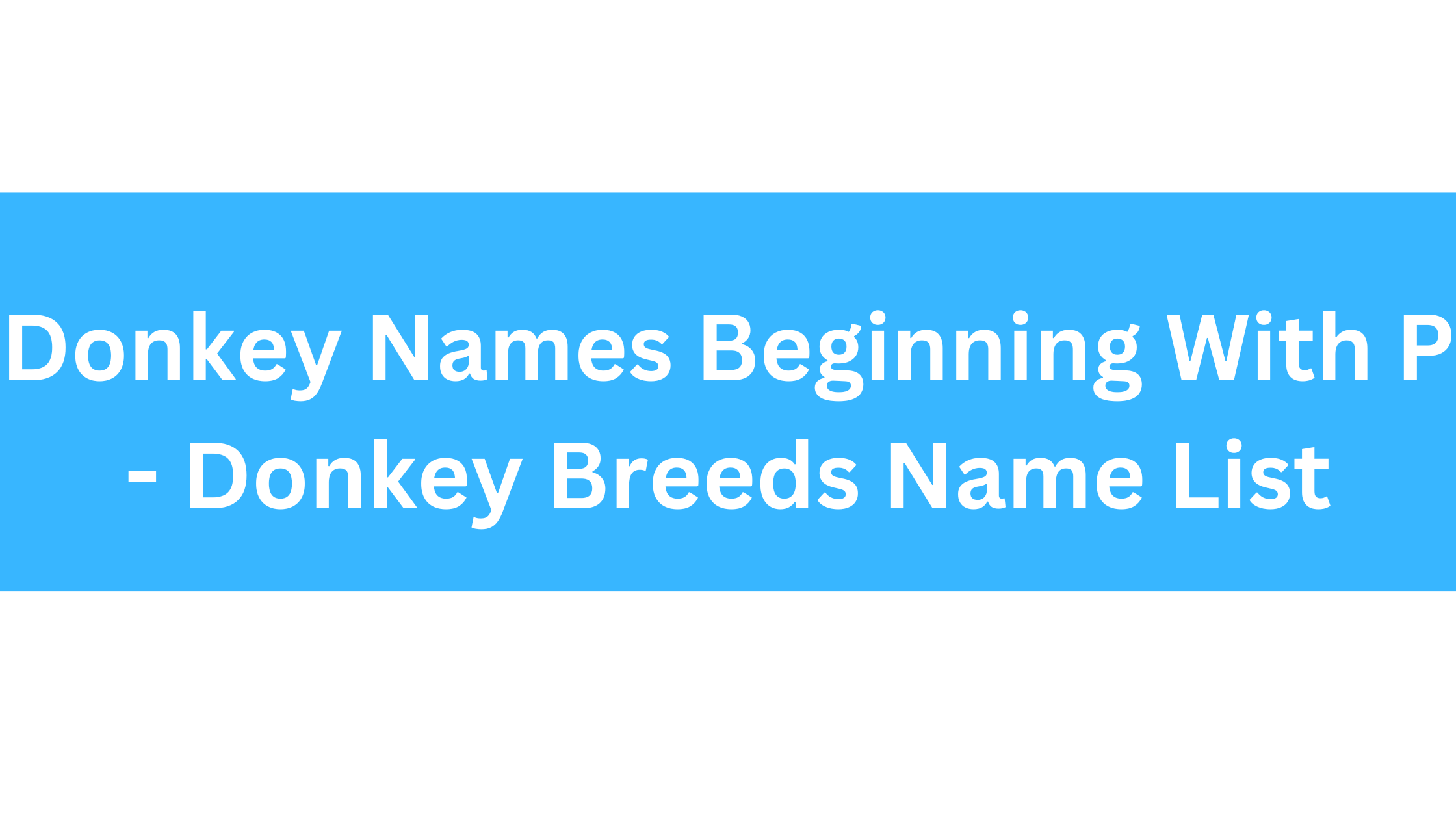 Donkey Names Beginning With P