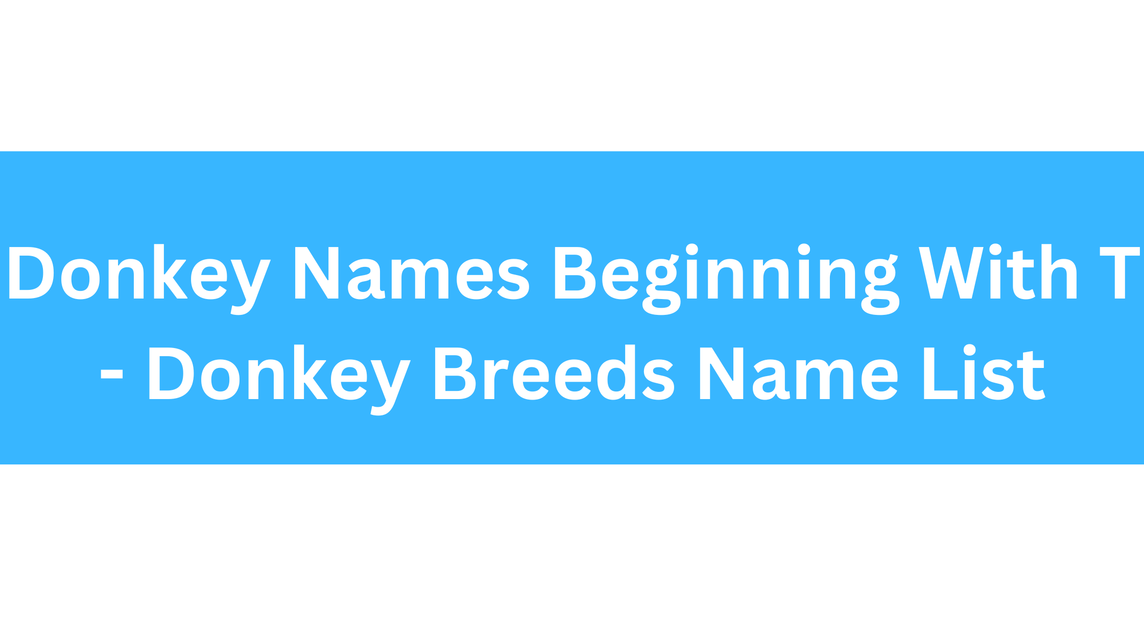 Donkey Names Beginning With T