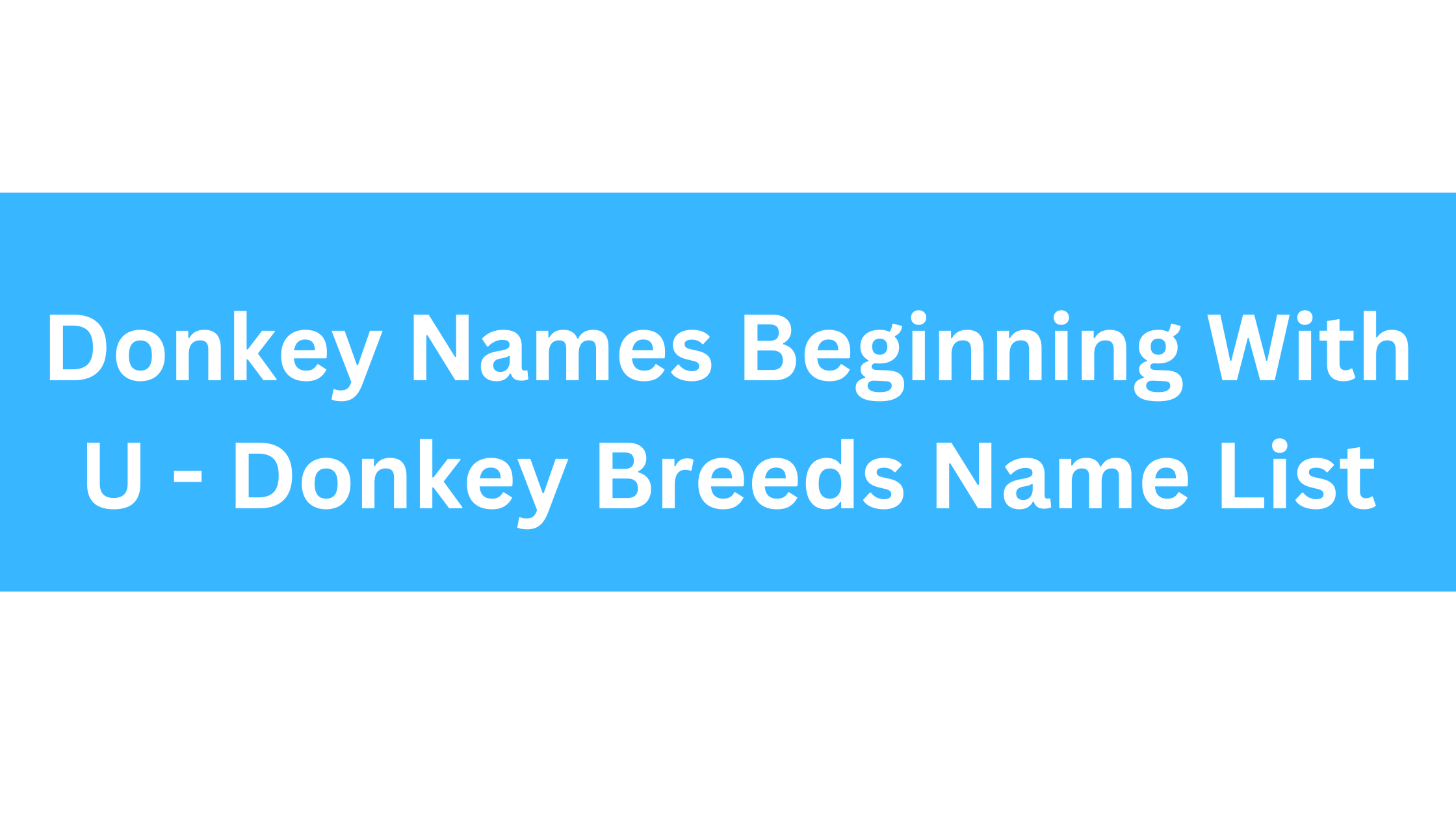 Donkey Names Beginning With U