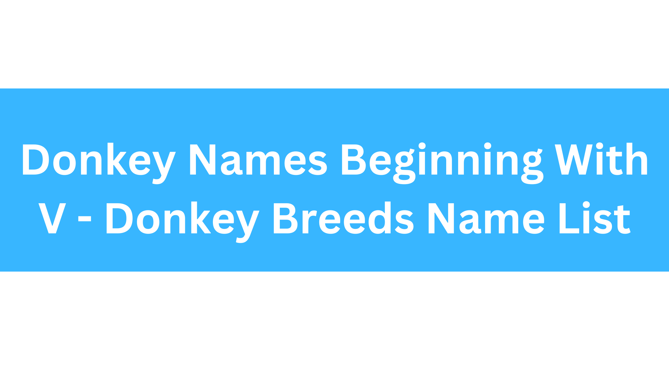 Donkey Names Beginning With V