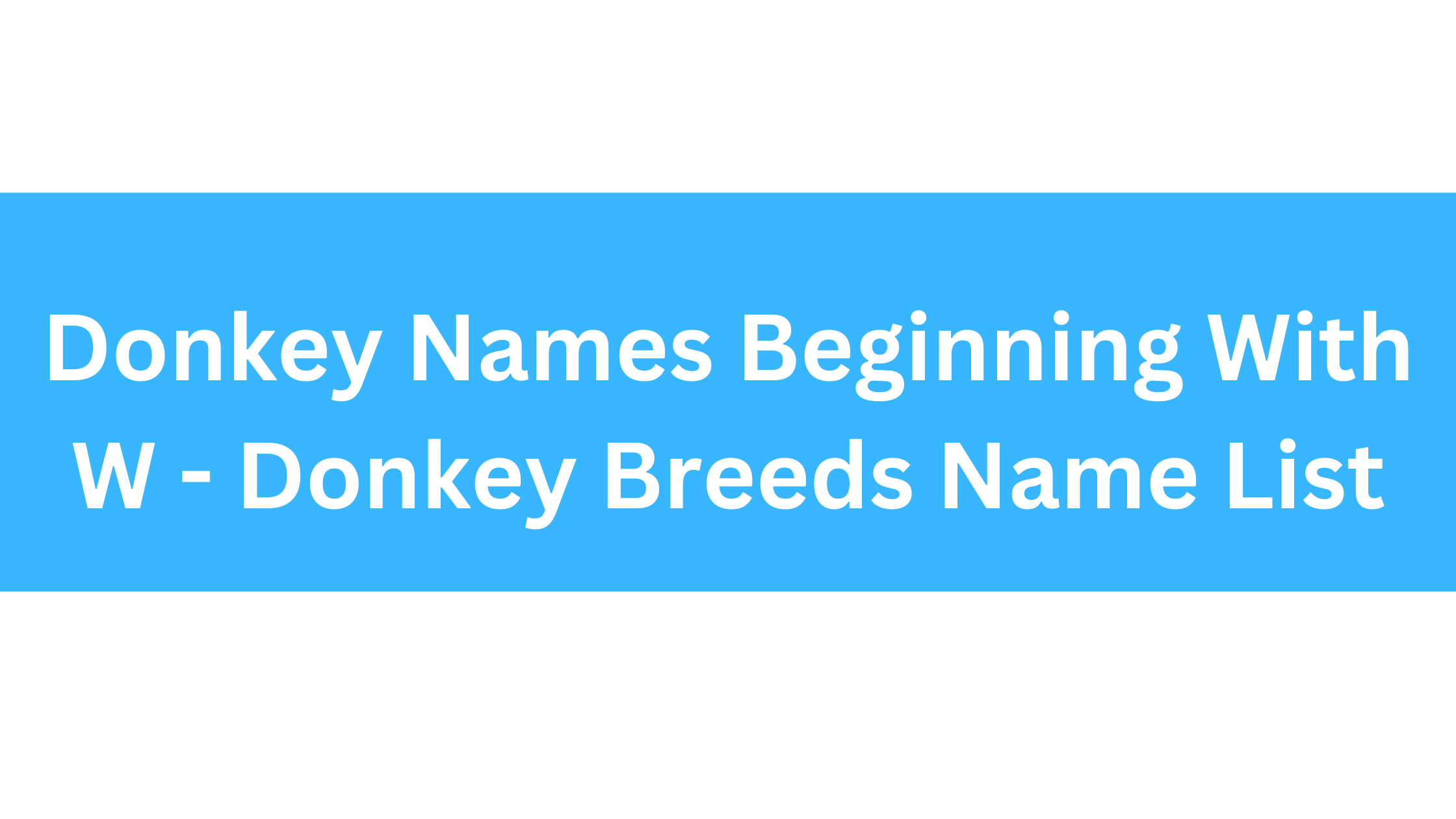 Donkey Names Beginning With W