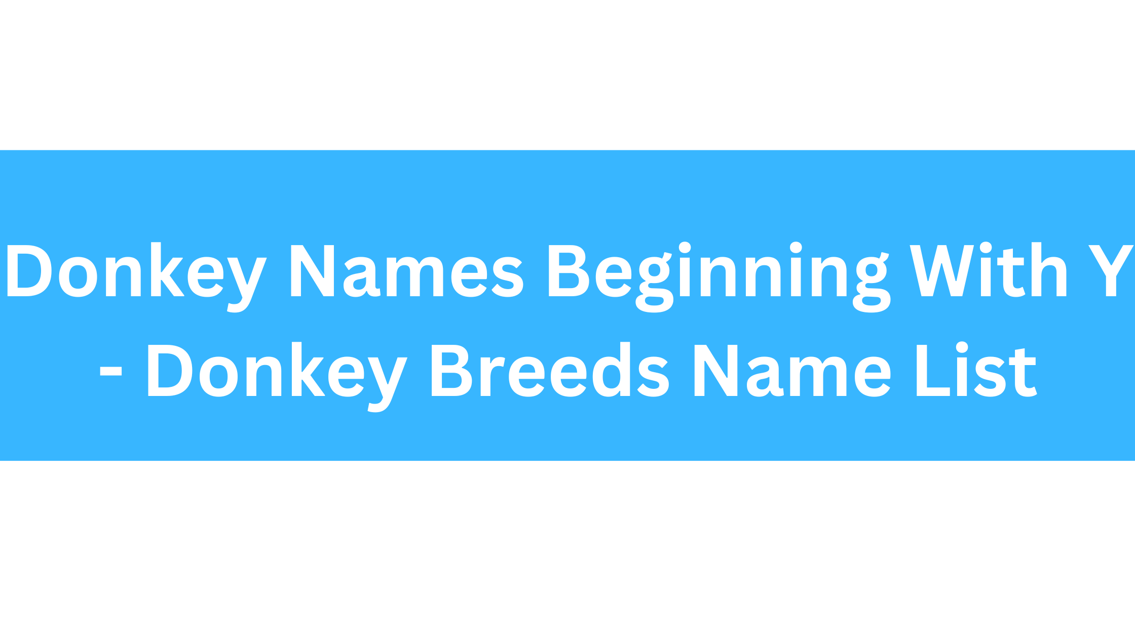 Donkey Names Beginning With Y