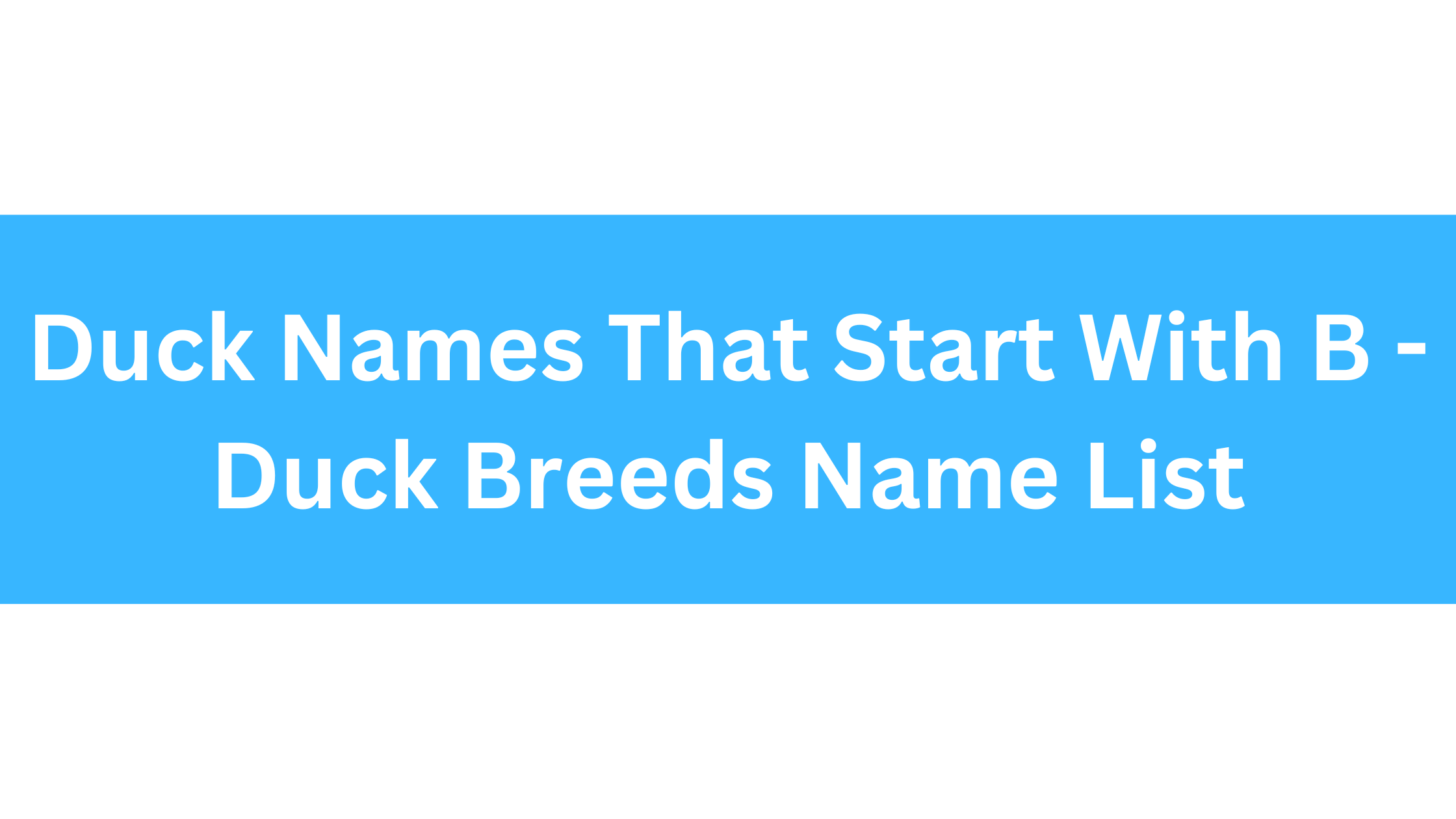 Duck Names That Start With B